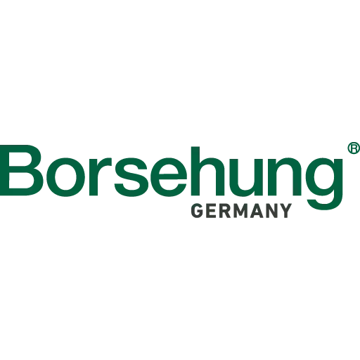 Borsehung