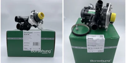 Помпи BORSEHUNG для VW EA888: що знаходиться всередині?