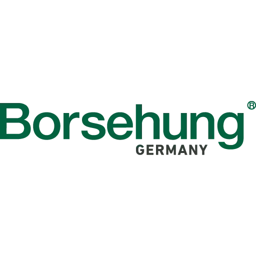 Borsehung