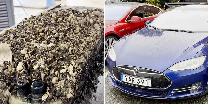 (ВІДЕО) Що відбувається з батареєю Tesla за 10 років експлуатації: механік розібрав акумулятор Model S і показав його стан