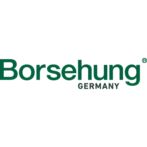 Borsehung